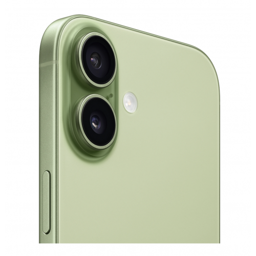 Apple iPhone 17 256 ГБ, зеленый (без RuStore) eSim